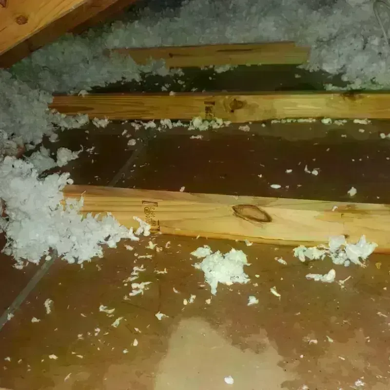 Attic Water Damage in South Beach, NY